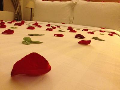 ریاد دار انیکا