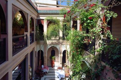 ریاد دار انیکا