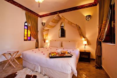 ریاد دار انیکا