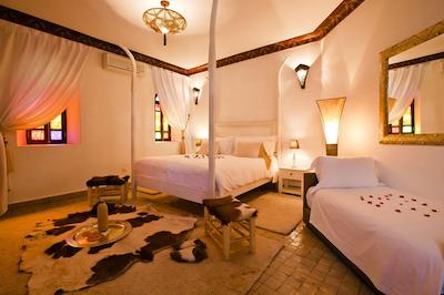 ریاد دار انیکا