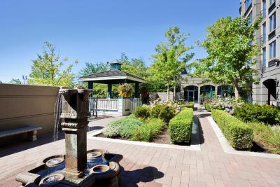 هلید این اند سویتز نرد وانکوور