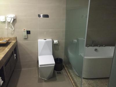 لاوند هتل شانگهای پودونگ اینترنشنال ایرپورت چوانشا برانچ