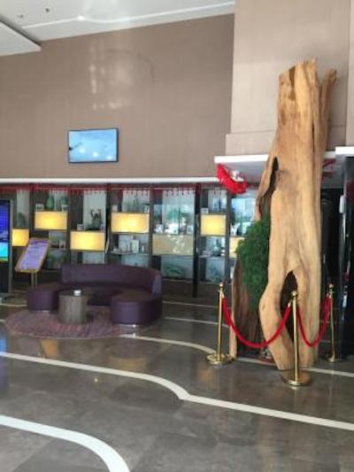 لاوند هتل شانگهای پودونگ اینترنشنال ایرپورت چوانشا برانچ