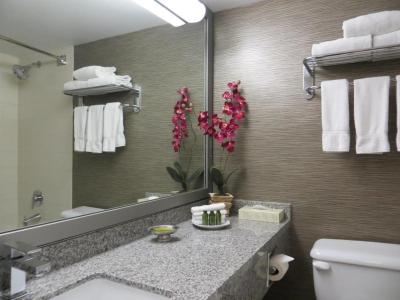 ترنتو دن والی هتل اند سویتز