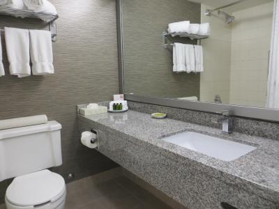 ترنتو دن والی هتل اند سویتز