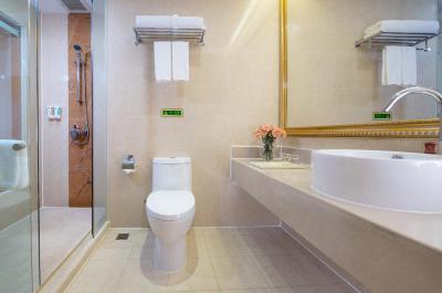 وینا اینترنیشنال هتل شنزهن لنگهوا سنتر