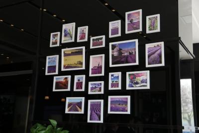 لاوند هتل شانگهای هانگچائو ایرپورت هوجونگ رود