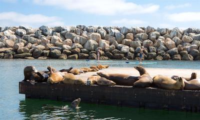 د پرتفینو هتل اند مارینا