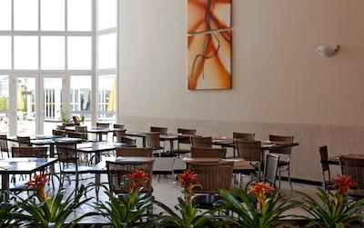 رد روف این جوندیای