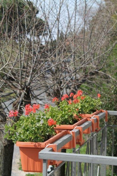 هیلاری