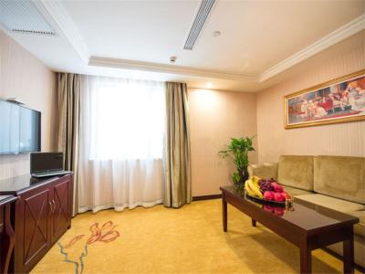 وینا اینترنشنال هتل شانگهای پوجیانگ تاون