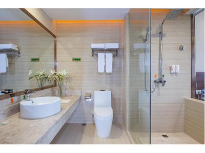 وینا اینترنشنال هتل شانگهای پوجیانگ تاون