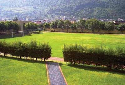 هلید این مرلیا