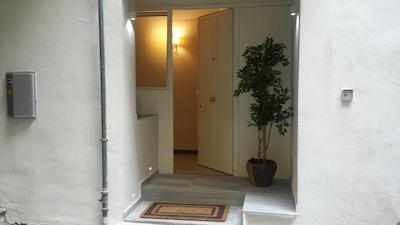 لا دیمرا دی نتونو