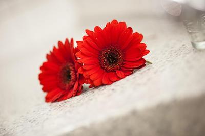 اپارین اپارتمنتز برلین