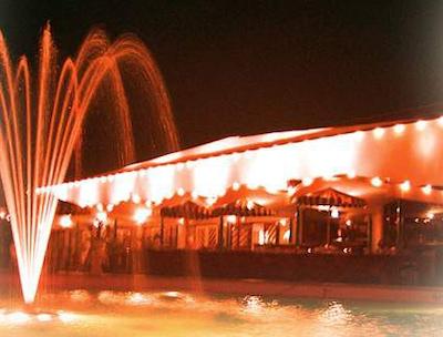 تراریکا اند کاسینو