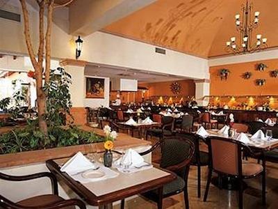 فیستا این کرتارو