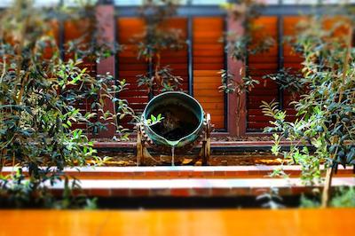 د هنری جنز ارت