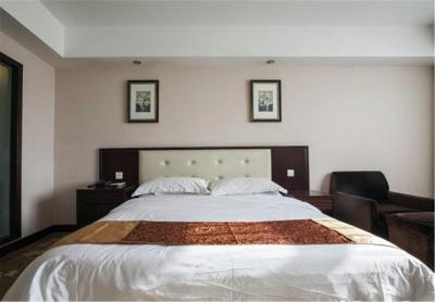 وینا 3 بست هتل شانگهای اکسپو سانلین