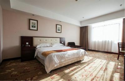 وینا 3 بست هتل شانگهای اکسپو سانلین