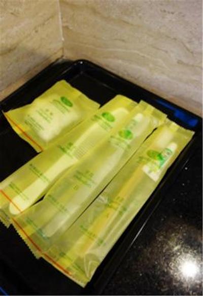 وینا 3 بست هتل شانگهای اکسپو سانلین