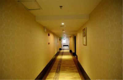 وینا 3 بست هتل شانگهای اکسپو سانلین