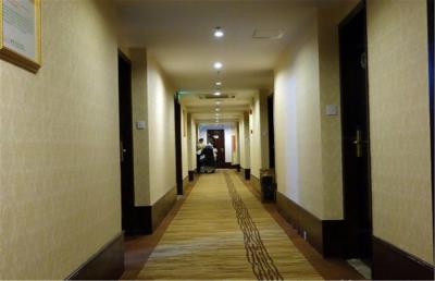 وینا 3 بست هتل شانگهای اکسپو سانلین