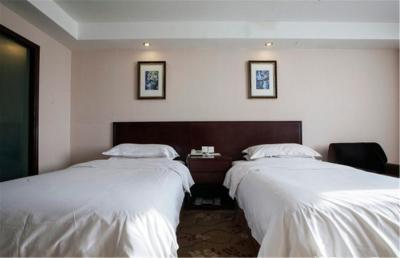 وینا 3 بست هتل شانگهای اکسپو سانلین