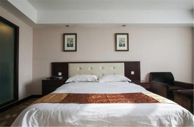 وینا 3 بست هتل شانگهای اکسپو سانلین