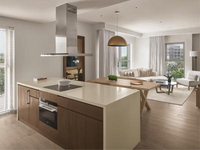 د ابو ظبی ادیشن