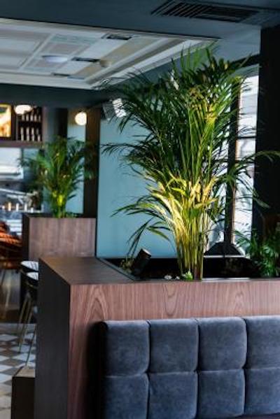 د بریستل هتل