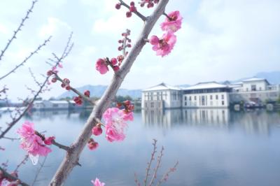 فوچون ریزرت