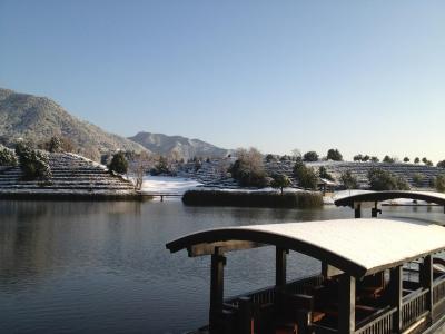 فوچون ریزرت