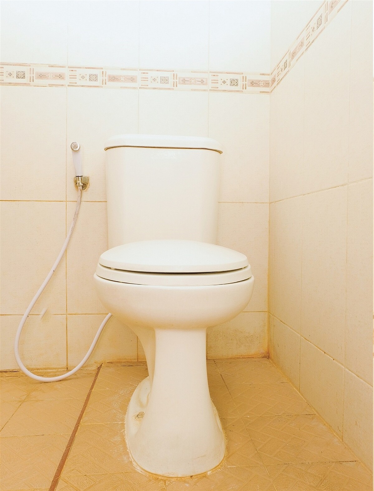 لسج گوست هوس