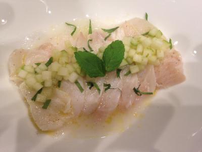 بسلو اکسدرا نیس