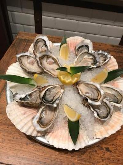 بسلو اکسدرا نیس