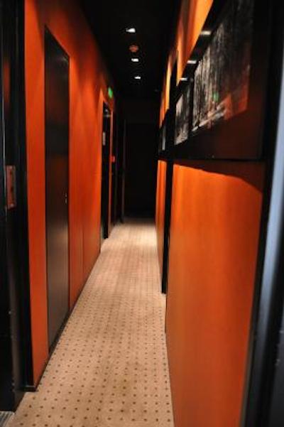 چاتیودون اُپرا