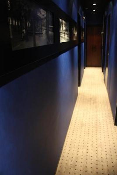 چاتیودون اُپرا