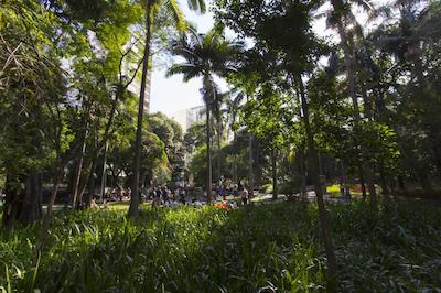 ترانسامریکا کلاسیک هیجینپلیز