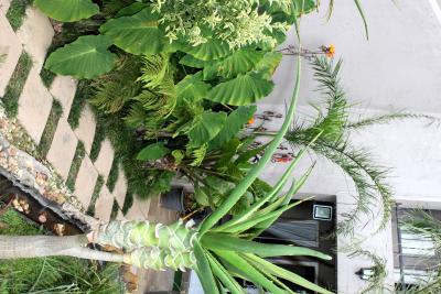 تون لج جهانسبورگ آیرپرت