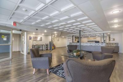 کوالیتی این وست ادمنتون