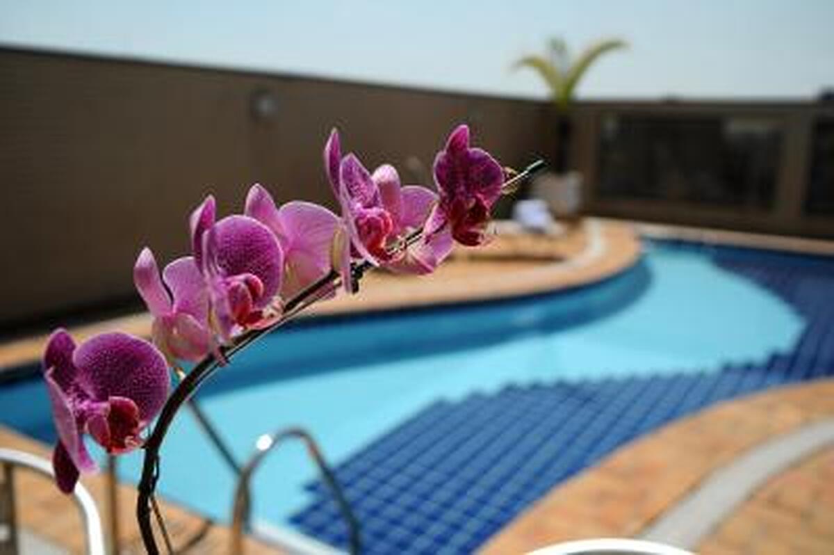 Mercure São Paulo Paraiso Hotel