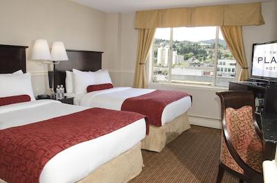 د پلازا هتل