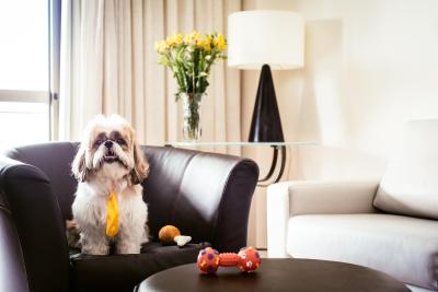 اُون ایپانما ویسنتی