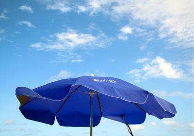 اُون ایپانما ویسنتی