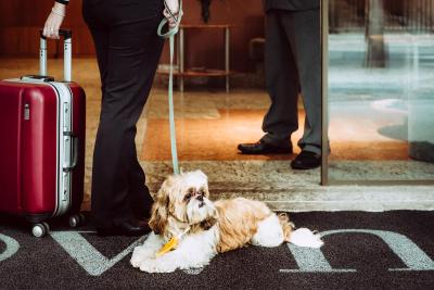 اُون ایپانما ویسنتی