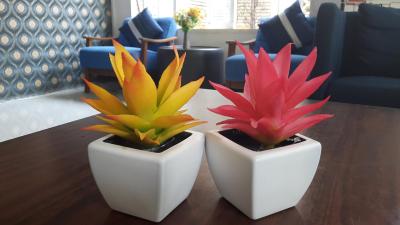 ساواسدی سوخومویت این