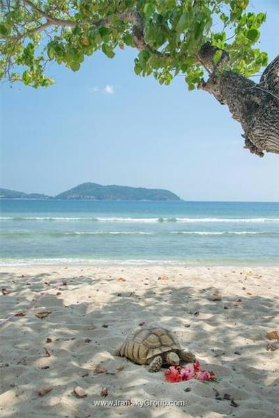 تاورن بیچ ویلیج ریزورت اند اسپا پاکت