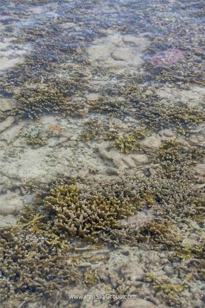 تاورن بیچ ویلیج ریزورت اند اسپا پاکت