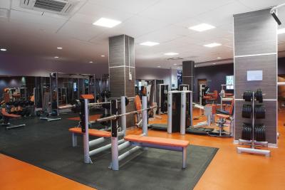 هالیدی این سکولنیکی